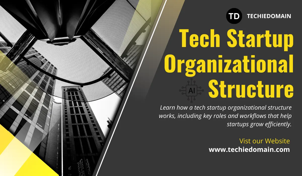 Tech Startup Organizational Structure: Every Startup Needs
